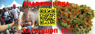 2c-b Гусиноозёрск