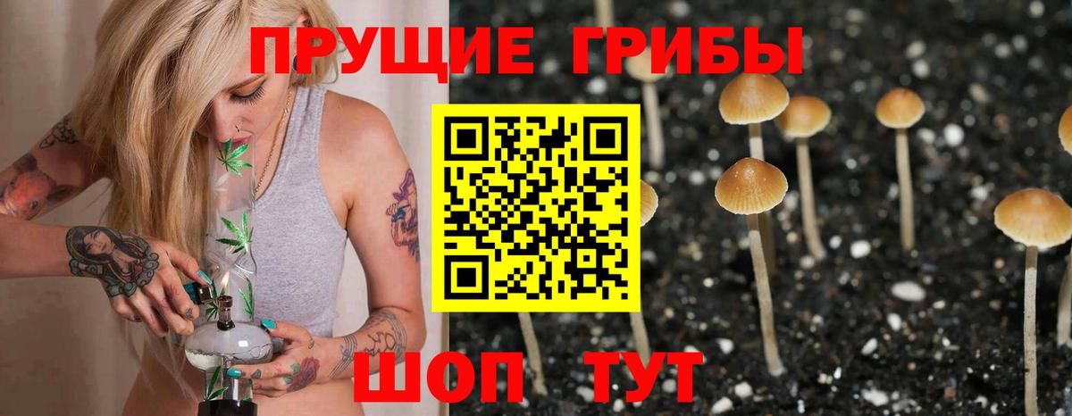 Псилоцибиновые грибы Cubensis  Псилоцибиновые грибы Psilocybine cubensis  Вход с VPN  Лесосибирск 